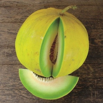 Seeds for Honey Dew Green Flesh Melon, Cucumis melo inodorus