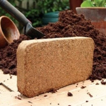 Using Coconut Coir in the Garden