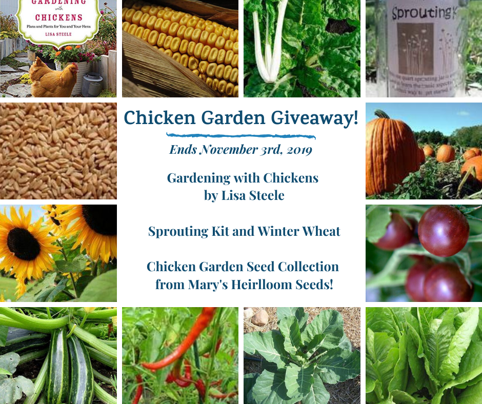 Chicken Garden Giveaway!