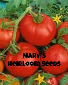 MARY'S GARDEN GIVEAWAY