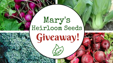 GIVEAWAY: Fall Garden Seeds & Supplies from Mary's Heirloom Seeds