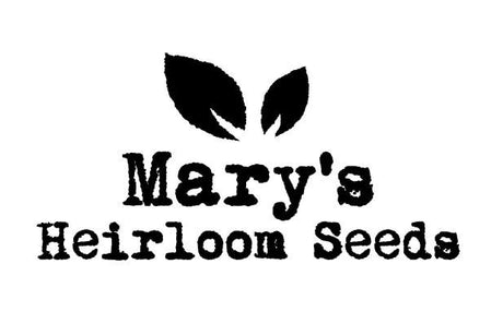 Mary's Heirloom Seeds 10K Celebration GIVEAWAY!