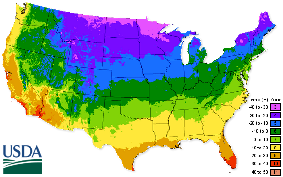 Zone 4 Vegetable Planting Guide