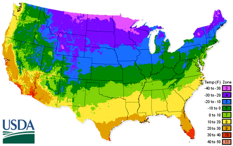 Zone 5 Vegetable Planting Guide