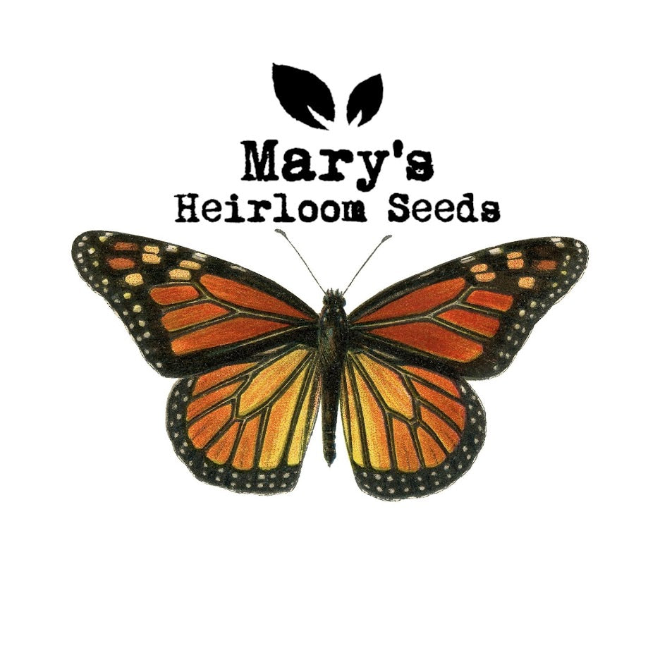 Free Milkweed Seeds this Month