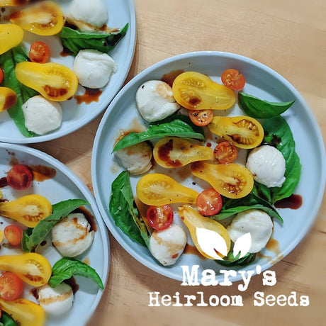 Heirloom Caprese Salad Recipe