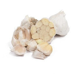 GARLIC