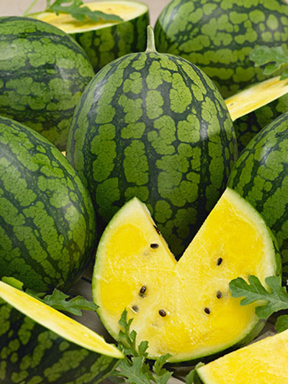 Mountain Sweet Yellow Watermelon