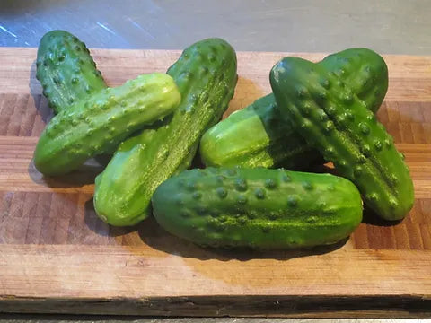 Sumter Cucumber