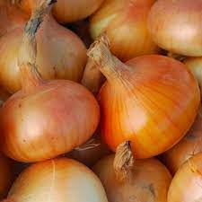 Australian Brown Onion