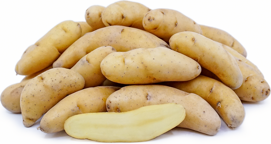 Russian Fingerling Potato