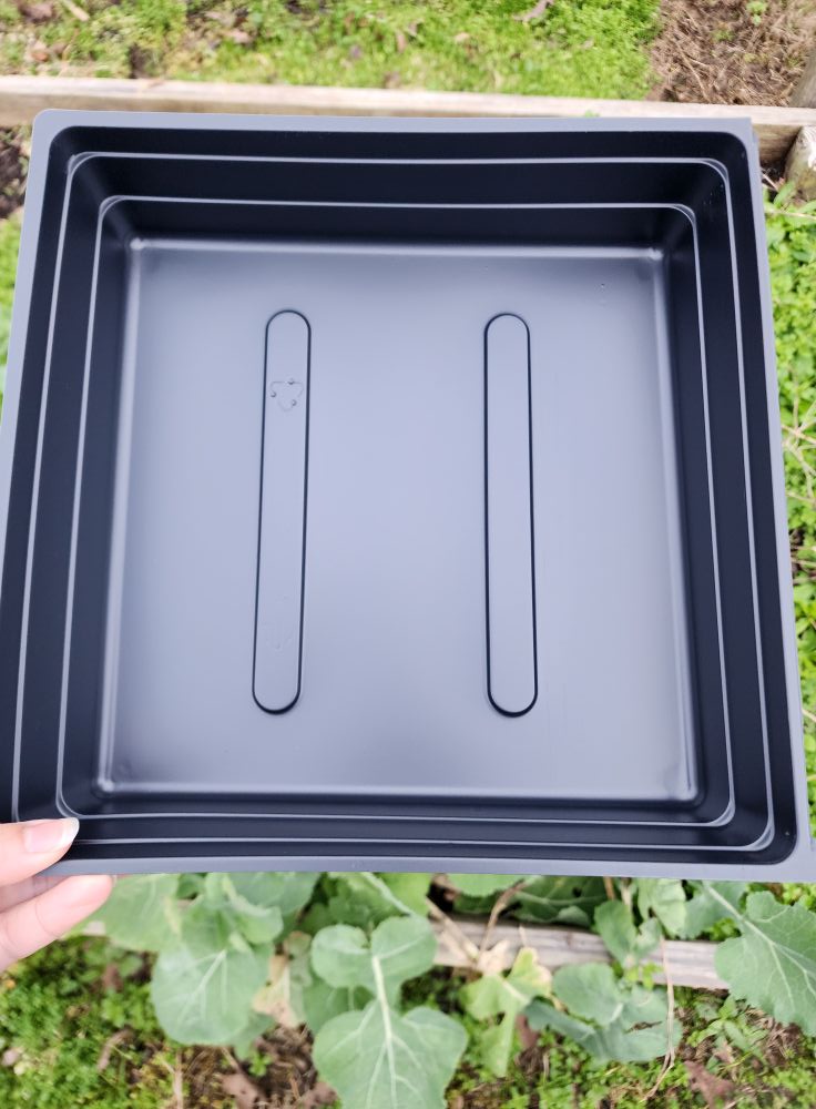 10X10 Growing Trays