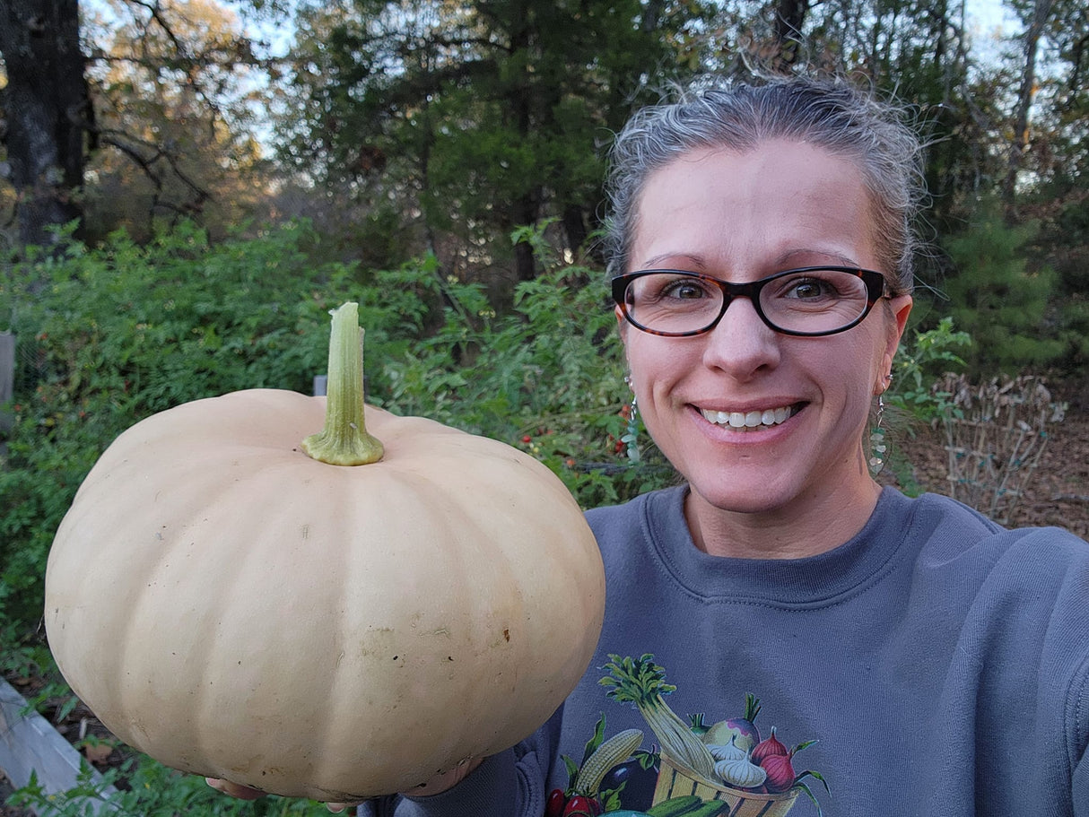 Long Island Cheese Pumpkin