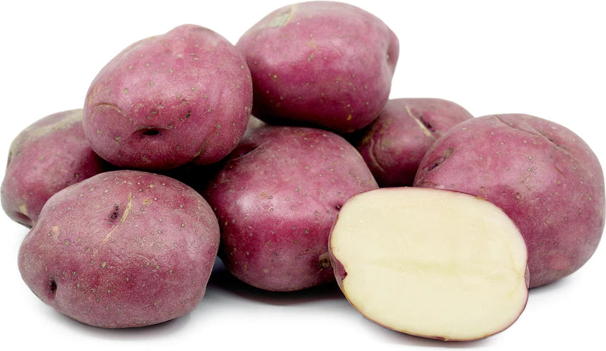 Red Norland Seed Potato