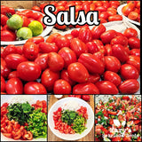 Salsa Garden Combo Pack