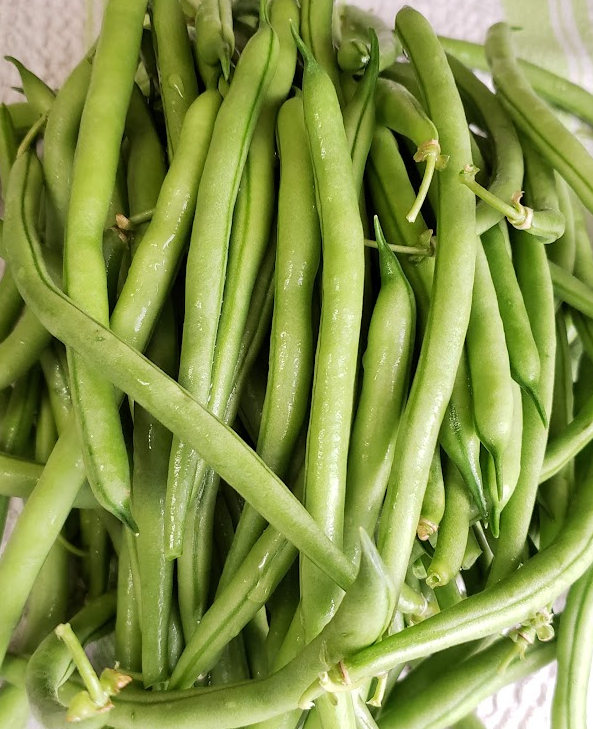 Strike Bush Beans