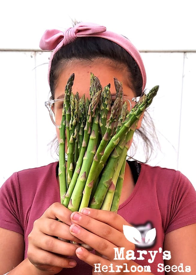 Mary Washington Asparagus