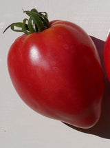 German Red Strawberry Tomato