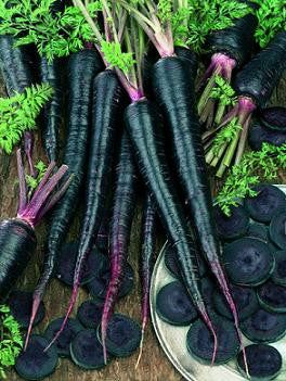 Black Nebula Carrot