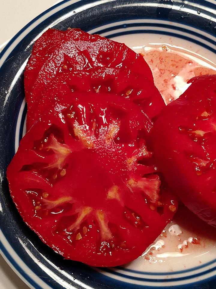 Pink Tomato SUDDUTH'S STRAIN BRANDYWINE 10 Heirloom Vegetable Seeds -   Canada