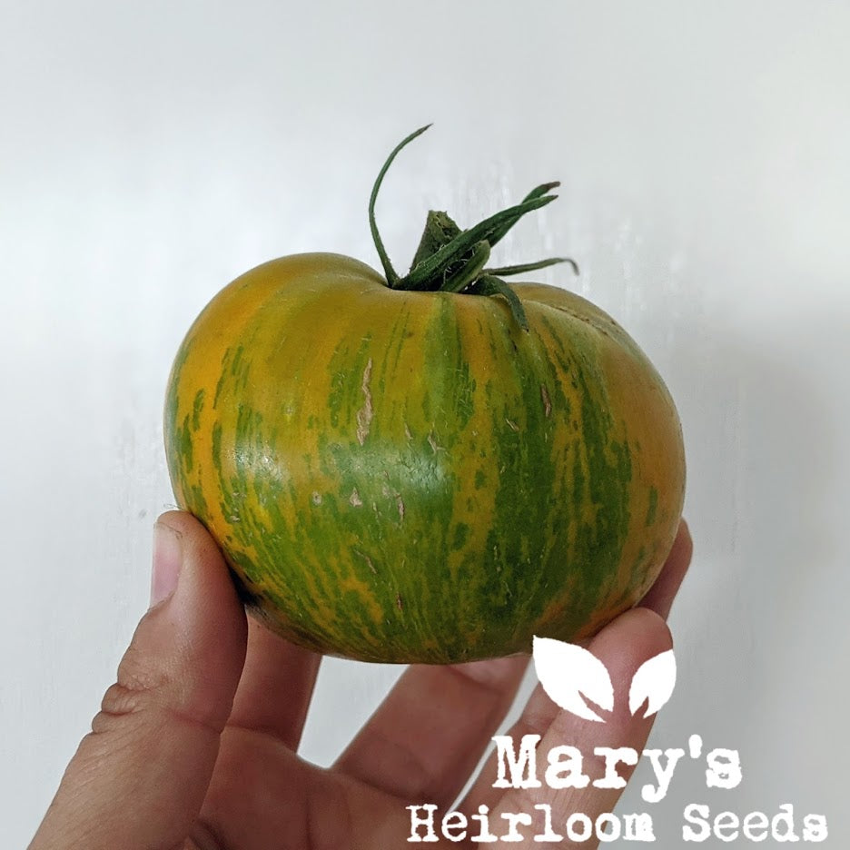 Green Zebra Tomato