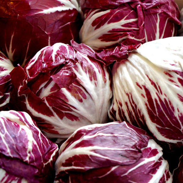 Radicchio, Palla Rosa