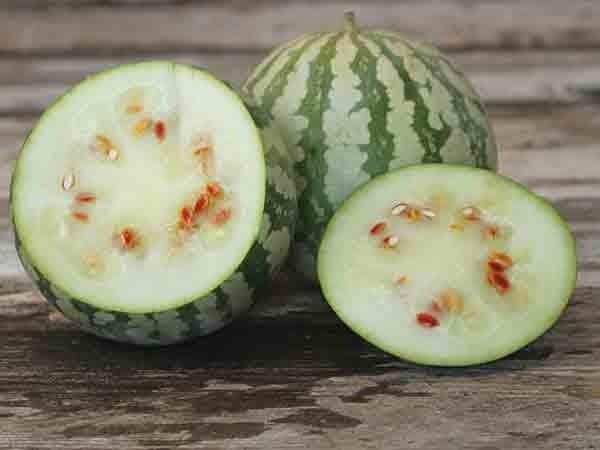 Citron Red Seeded Watermelon