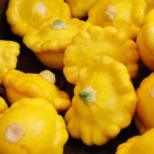 Yellow Scallop Squash